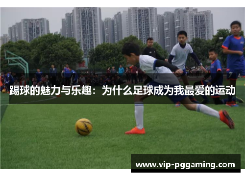 踢球的魅力与乐趣：为什么足球成为我最爱的运动